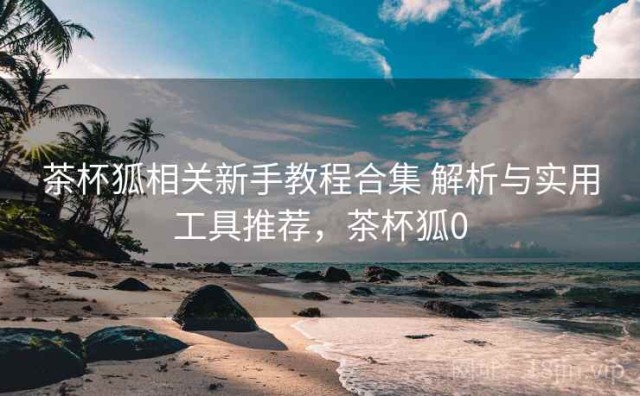 茶杯狐相关新手教程合集 解析与实用工具推荐，茶杯狐0