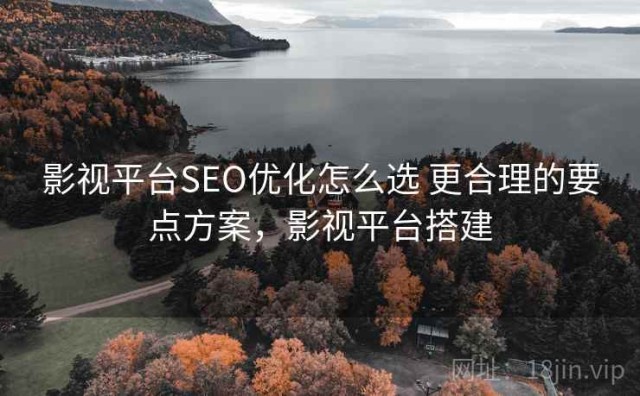 影视平台SEO优化怎么选 更合理的要点方案，影视平台搭建