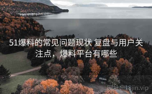 51爆料的常见问题现状 复盘与用户关注点，爆料平台有哪些