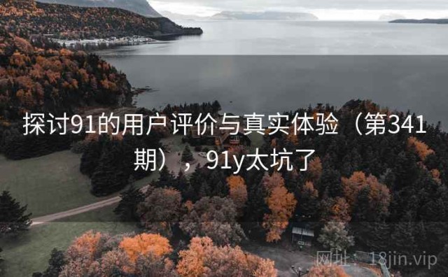 探讨91的用户评价与真实体验（第341期），91y太坑了