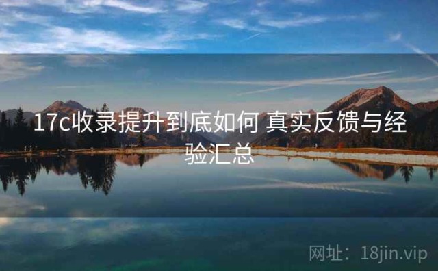 17c收录提升到底如何 真实反馈与经验汇总