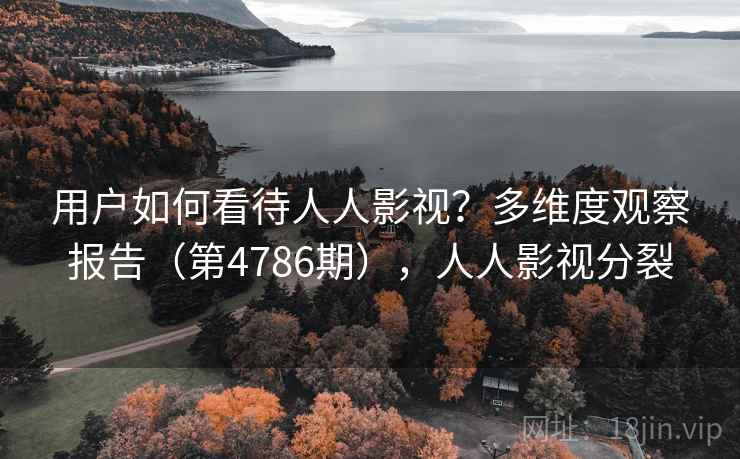 用户如何看待人人影视？多维度观察报告（第4786期），人人影视分裂