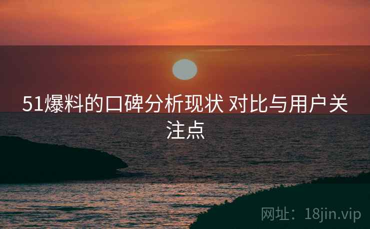 51爆料的口碑分析现状 对比与用户关注点