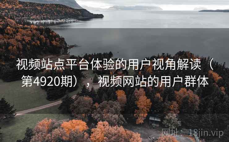 视频站点平台体验的用户视角解读（第4920期），视频网站的用户群体